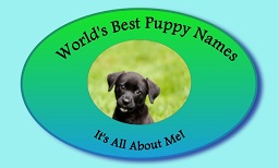 World's Best Puppy Names